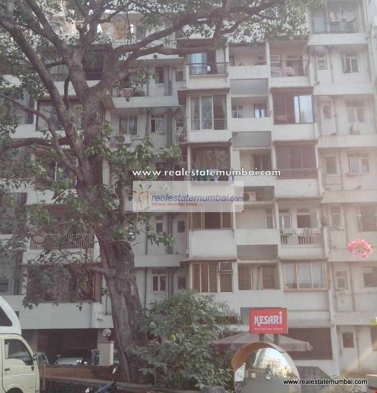 Main - Deep Bella, Bandra West